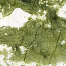 Marmo Verde Giada